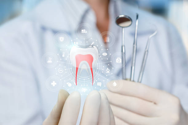 Best Dental Exams and Cleanings  in North Zanesville, OH